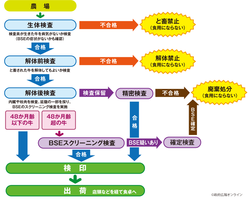 図解