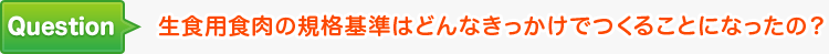 生食用食肉の規格基準はどんなきっかけでつくることになったの？